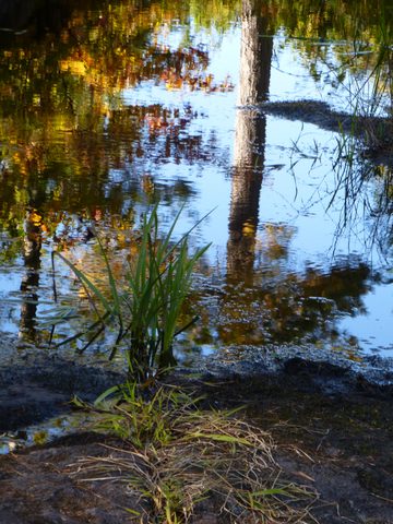 Photo from Trekking with Chev ~ Return to Bon Echo~ A backpacking Adventure