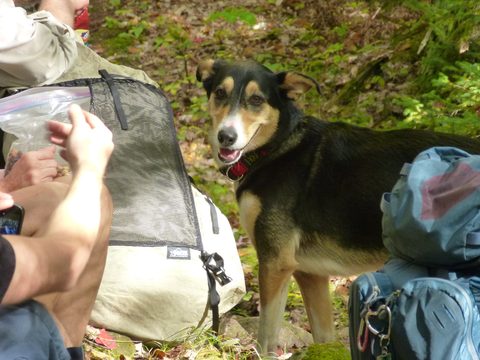 Photo from Trekking with Chev ~ Return to Bon Echo~ A backpacking Adventure