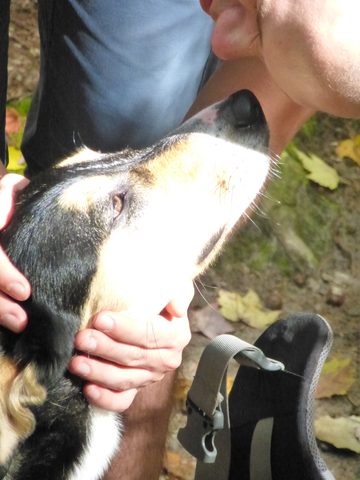 Photo from Trekking with Chev ~ Return to Bon Echo~ A backpacking Adventure