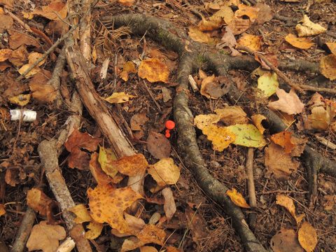 Photo from Trekking with Chev ~ Return to Bon Echo~ A backpacking Adventure
