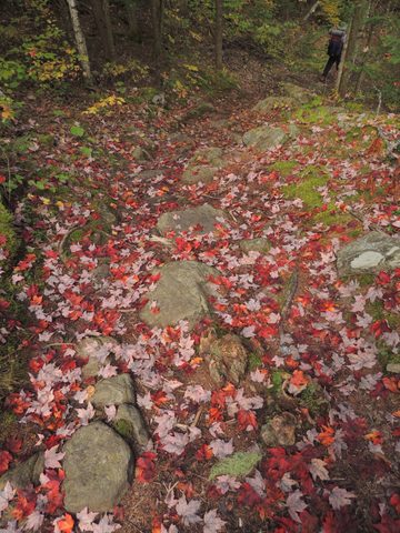Photo from Trekking with Chev ~ Return to Bon Echo~ A backpacking Adventure