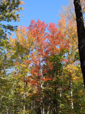 Photo from Trekking with Chev ~ Return to Bon Echo~ A backpacking Adventure