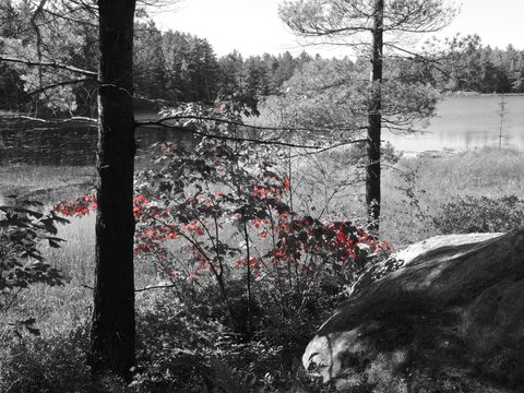 Photo from Trekking with Chev ~ Return to Bon Echo~ A backpacking Adventure