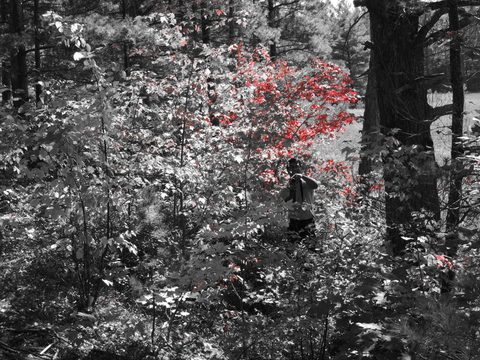 Photo from Trekking with Chev ~ Return to Bon Echo~ A backpacking Adventure