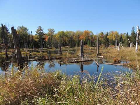 Photo from Trekking with Chev ~ Return to Bon Echo~ A backpacking Adventure