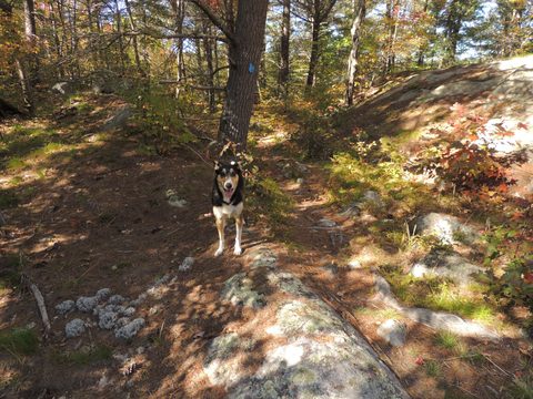 Photo from Trekking with Chev ~ Return to Bon Echo~ A backpacking Adventure