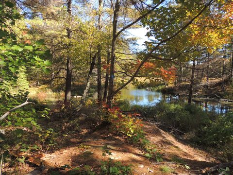 Photo from Trekking with Chev ~ Return to Bon Echo~ A backpacking Adventure