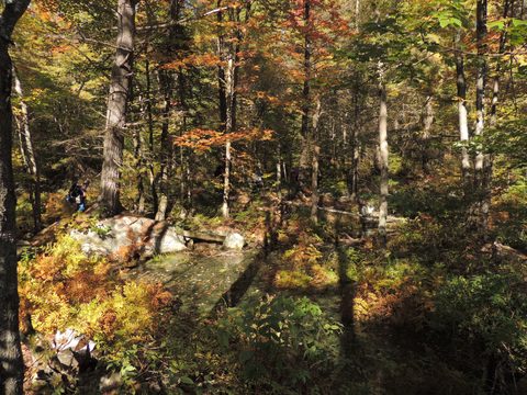 Photo from Trekking with Chev ~ Return to Bon Echo~ A backpacking Adventure