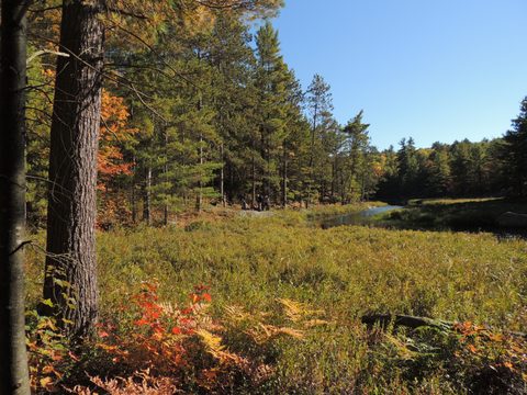 Photo from Trekking with Chev ~ Return to Bon Echo~ A backpacking Adventure