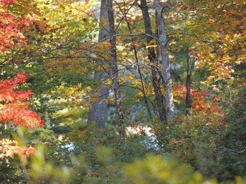 Photo from Trekking with Chev ~ Return to Bon Echo~ A backpacking Adventure