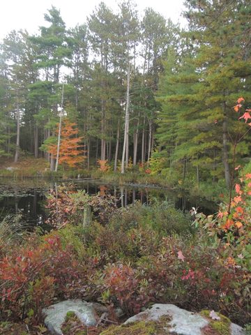 Photo from Trekking with Chev ~ Return to Bon Echo~ A backpacking Adventure
