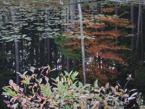 Photo from Trekking with Chev ~ Return to Bon Echo~ A backpacking Adventure