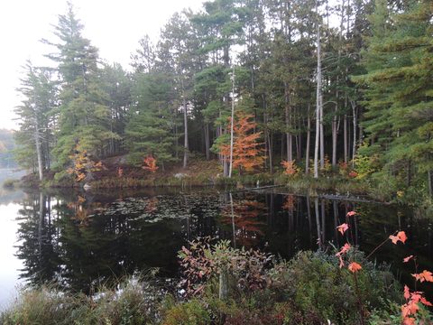 Photo from Trekking with Chev ~ Return to Bon Echo~ A backpacking Adventure