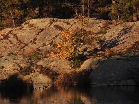 Photo from Trekking with Chev ~ Return to Bon Echo~ A backpacking Adventure