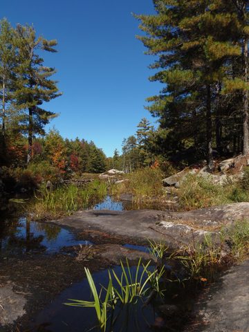 Photo from Trekking with Chev ~ Return to Bon Echo~ A backpacking Adventure