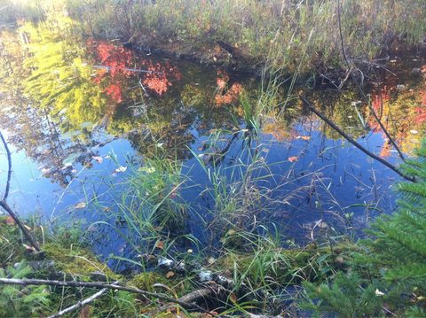 Photo from Trekking with Chev ~ Return to Bon Echo~ A backpacking Adventure