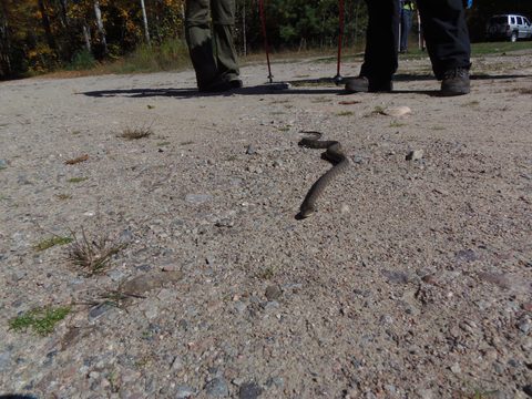 Photo from Trekking with Chev ~ Return to Bon Echo~ A backpacking Adventure