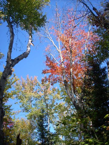 Photo from Trekking with Chev ~ Return to Bon Echo~ A backpacking Adventure