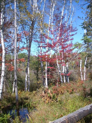 Photo from Trekking with Chev ~ Return to Bon Echo~ A backpacking Adventure
