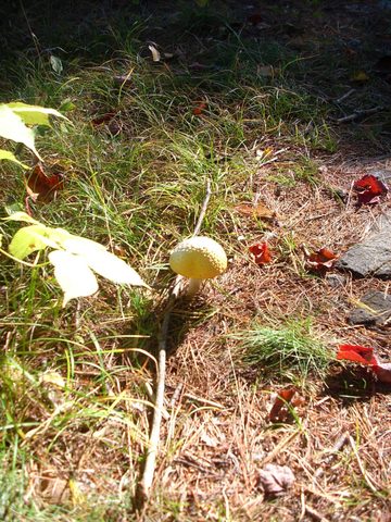 Photo from Trekking with Chev ~ Return to Bon Echo~ A backpacking Adventure