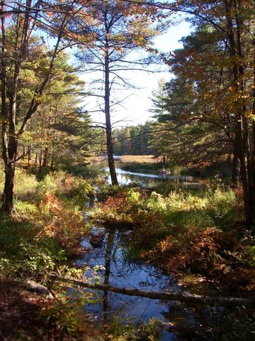Photo from Trekking with Chev ~ Return to Bon Echo~ A backpacking Adventure