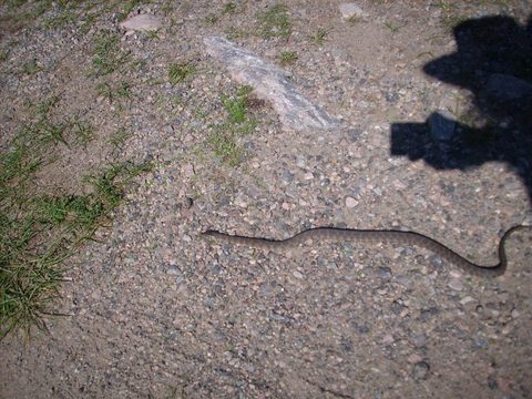 Photo from Trekking with Chev ~ Return to Bon Echo~ A backpacking Adventure