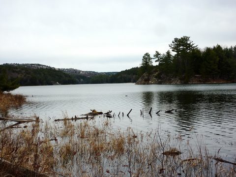 Photo from Exploring Killarney Provincial Park