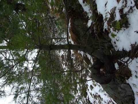 Photo from Exploring Killarney Provincial Park