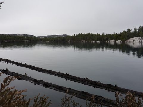 Photo from Exploring Killarney Provincial Park