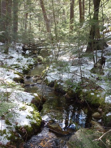 Photo from Exploring Killarney Provincial Park