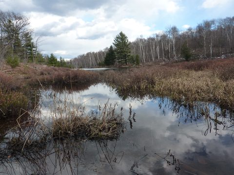 Photo from Exploring Killarney Provincial Park