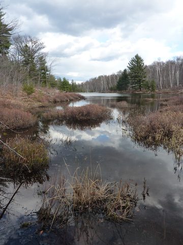 Photo from Exploring Killarney Provincial Park