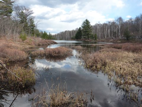 Photo from Exploring Killarney Provincial Park