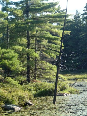 Photo from Kayaking, Thunder Box Build, Georgian Bay