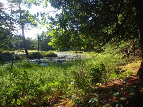 Photo from Kayaking, Thunder Box Build, Georgian Bay
