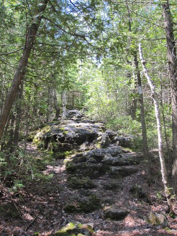 Photo from Backpacking Bootcamp