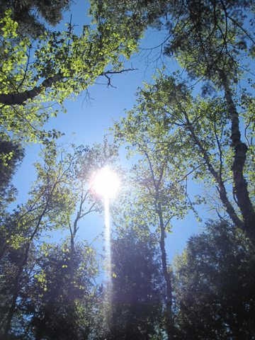 Photo from Backpacking Bootcamp