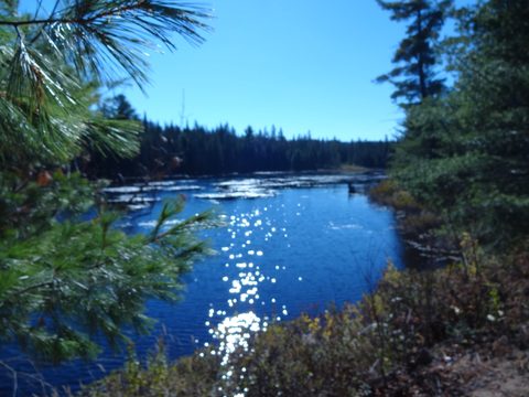 Photo from Thanksgiving weekend in Algonquin Provincial Park