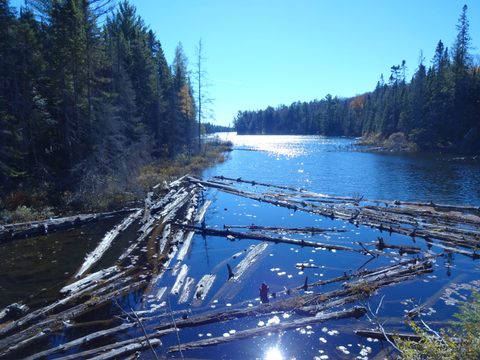 Photo from Thanksgiving weekend in Algonquin Provincial Park