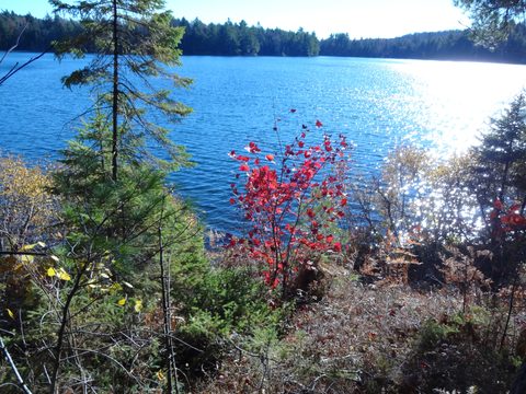 Photo from Thanksgiving weekend in Algonquin Provincial Park