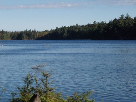 Photo from Three day trip in Algonquin Provincial Park