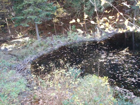 Photo from Three day trip in Algonquin Provincial Park