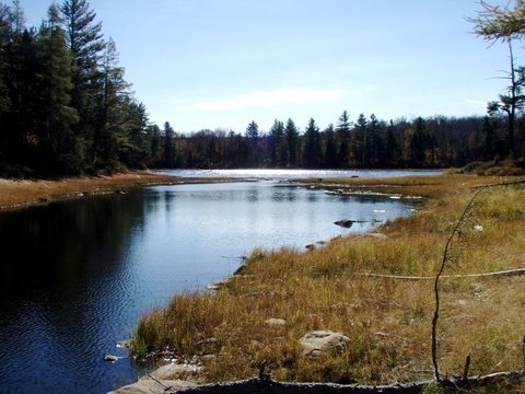 Photo from Three day trip in Algonquin Provincial Park
