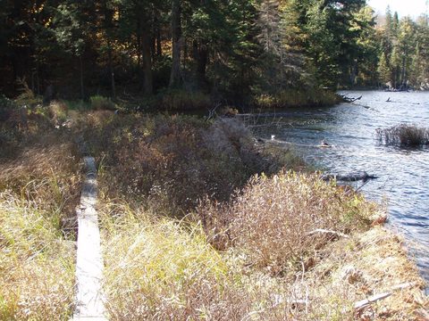 Photo from Three day trip in Algonquin Provincial Park