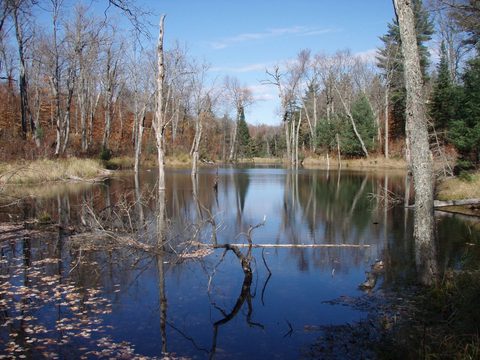 Photo from Three day trip in Algonquin Provincial Park