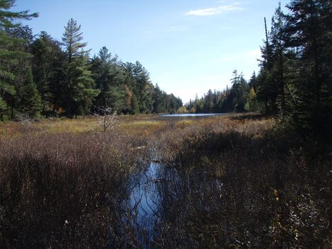 Photo from Three day trip in Algonquin Provincial Park