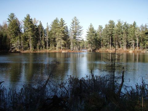 Photo from Three day trip in Algonquin Provincial Park