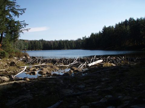 Photo from Three day trip in Algonquin Provincial Park