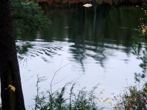 Photo from Three day trip in Algonquin Provincial Park