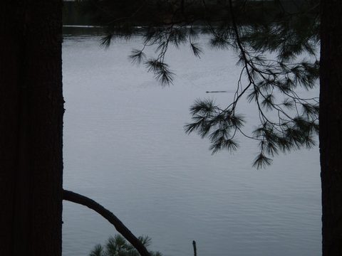 Photo from Three day trip in Algonquin Provincial Park